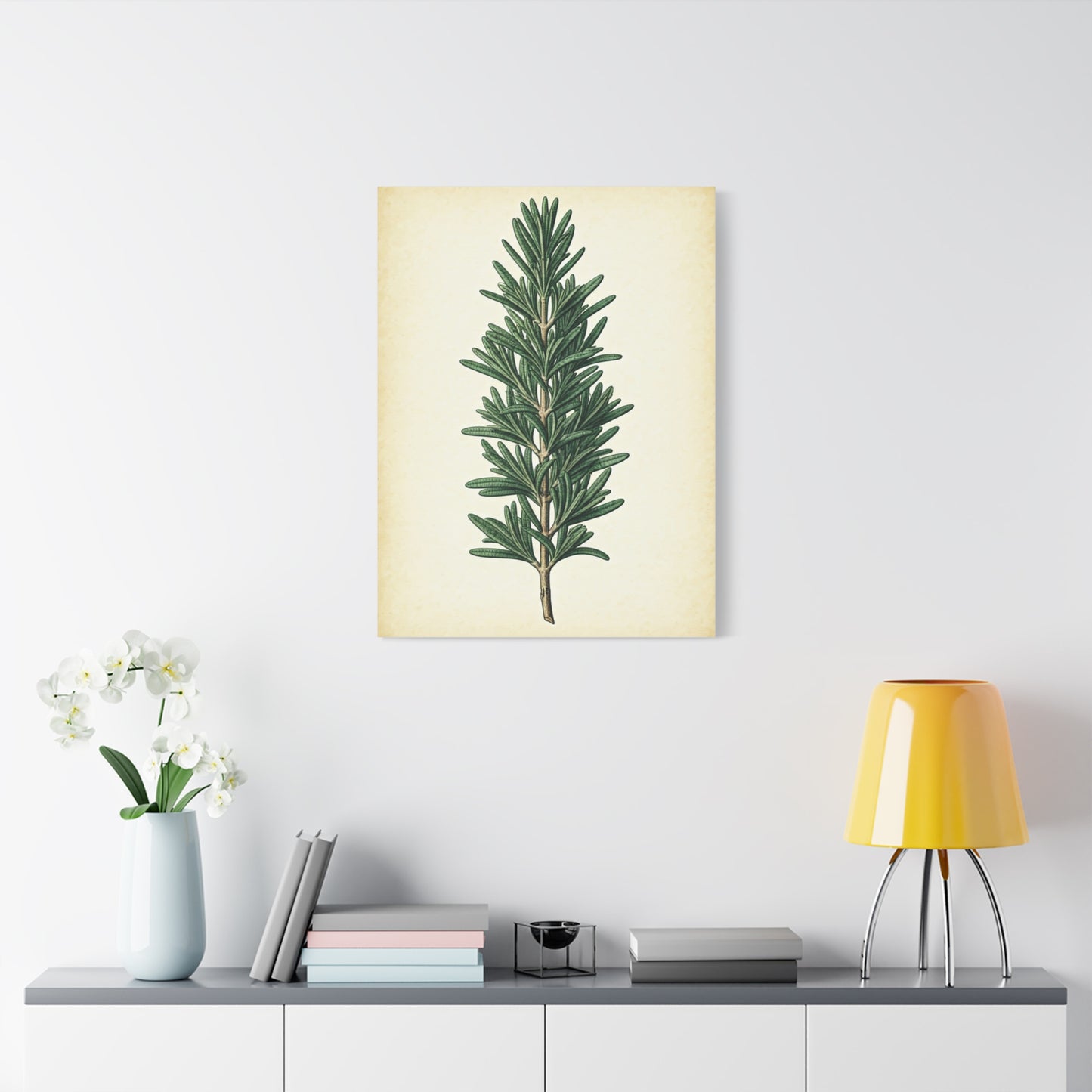 Rosemary Herb Vintage Study Wall Art & Canvas Prints