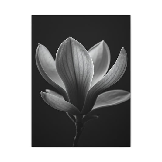Magnolia Blossom Serenity Monochrome Wall Art & Canvas Prints