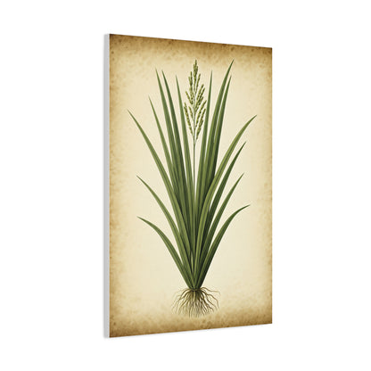 Wild Grass Illustration Wall Art & Canvas Prints