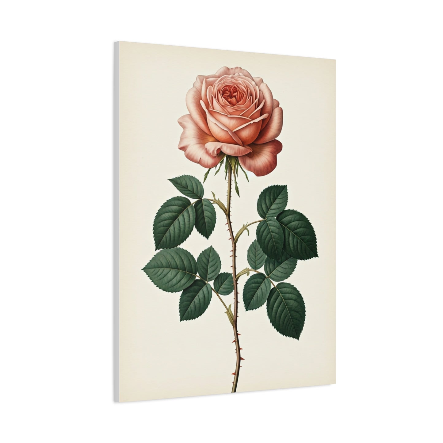 Vintage Rose Illustration Wall Art & Canvas Prints