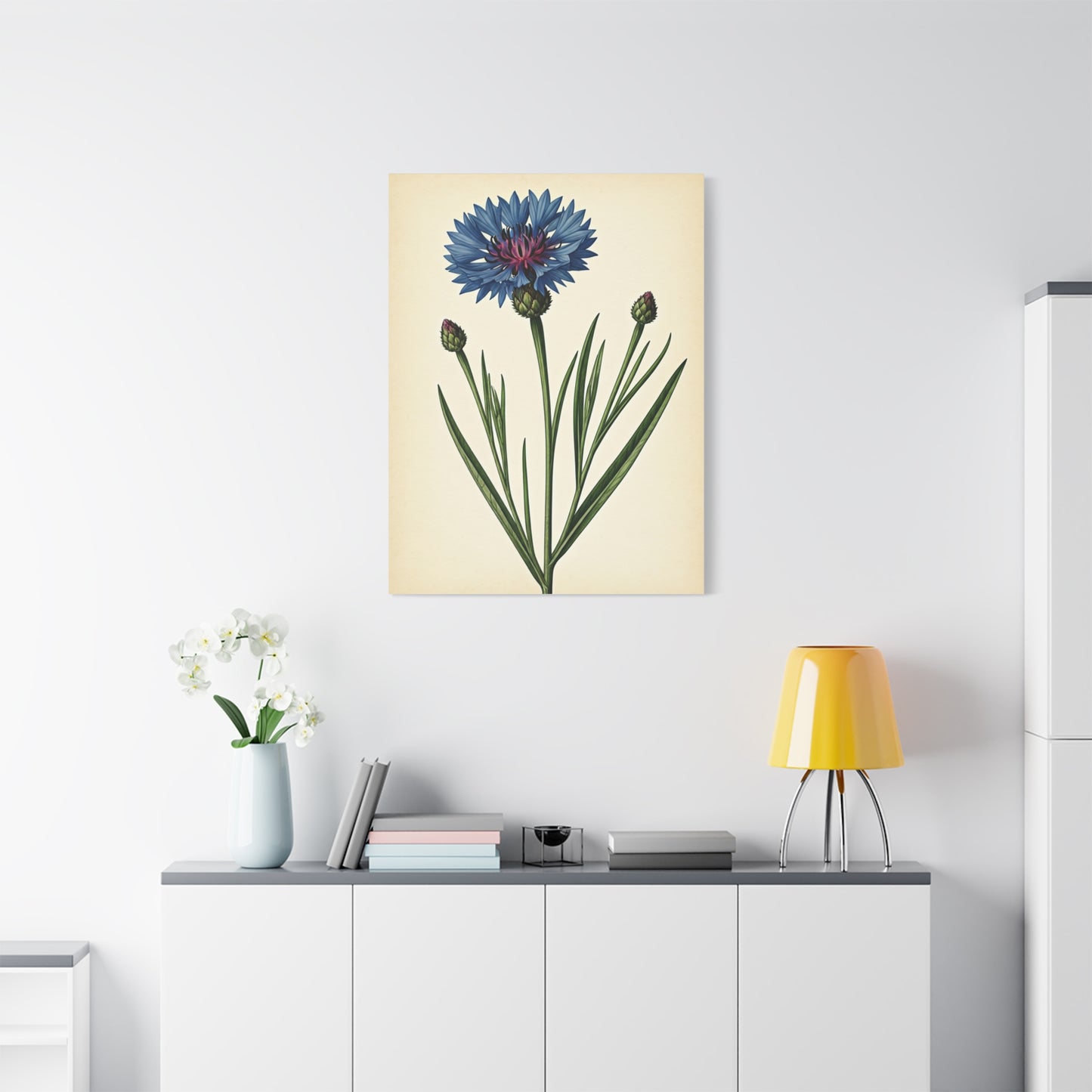 Cornflower Wildflower Illustration Wall Art & Canvas Prints