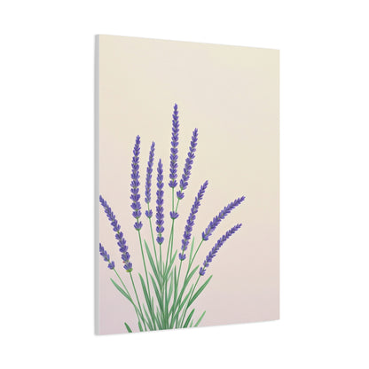 Lavender Botanical Minimal Illustration Wall Art & Canvas Prints