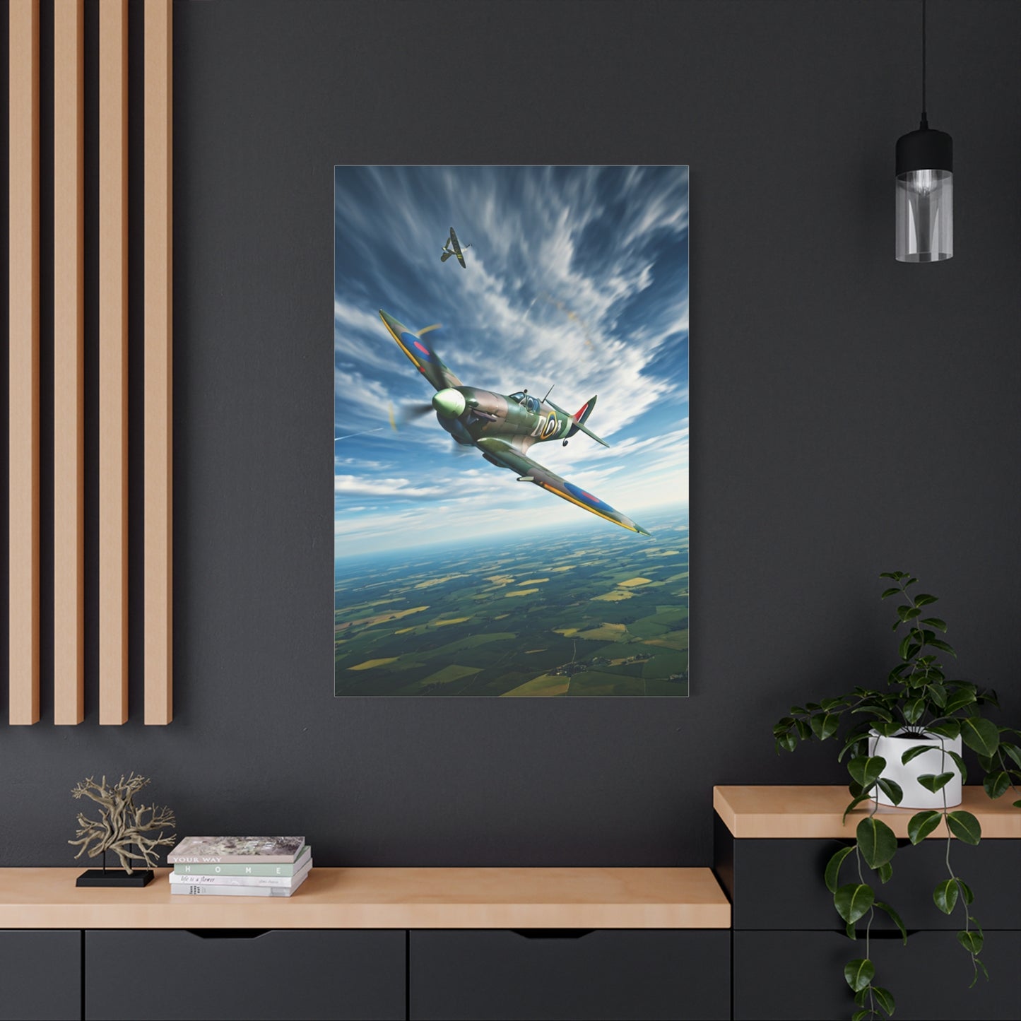 Vintage Warbird Flight Over Open Fields Wall Art & Canvas Prints