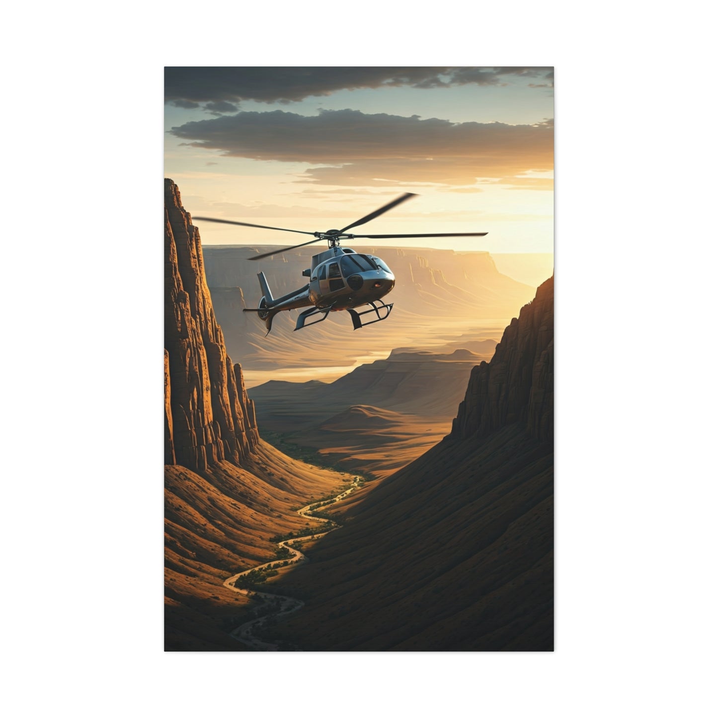 Helicopter Canyon Expedition Wall Art & Canvas Prints