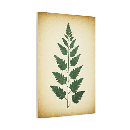 Vintage Fern Study Wall Art & Canvas Prints