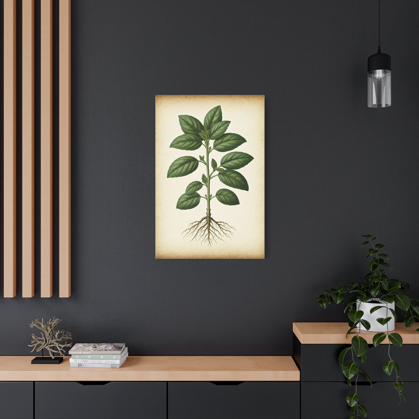 Basil Plant Herbal Illustration Wall Art & Canvas Prints
