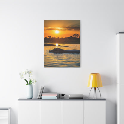 Hippo Resting at Sunset Waters Wall Art & Canvas Prints