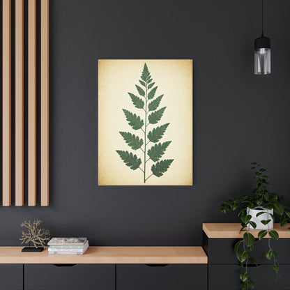 Vintage Fern Study Wall Art & Canvas Prints
