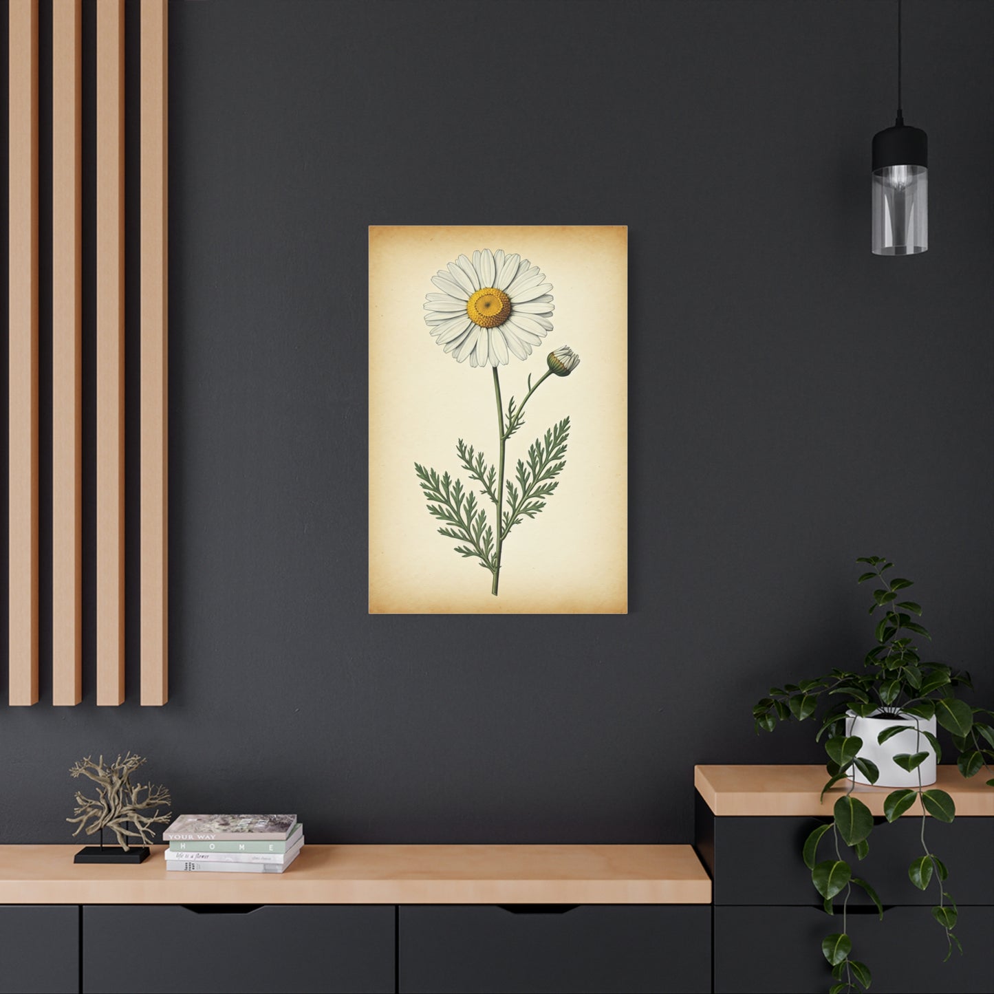 Wild Daisy Illustration Wall Art & Canvas Prints