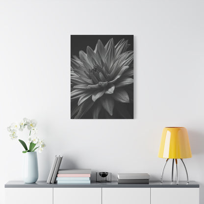 Monochrome Layered Dahlia Bloom Wall Art & Canvas Prints