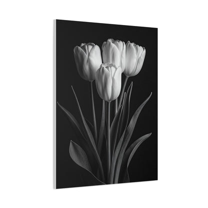 Graceful Tulip Trio Monochrome Wall Art & Canvas Prints