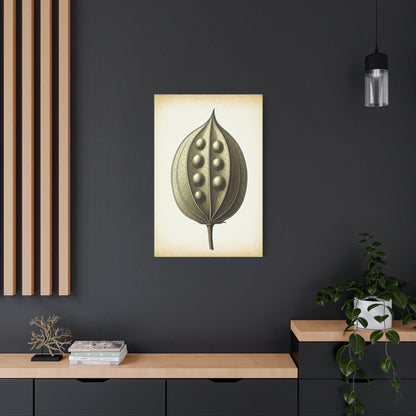 Seed Pod Study Wall Art & Canvas Prints