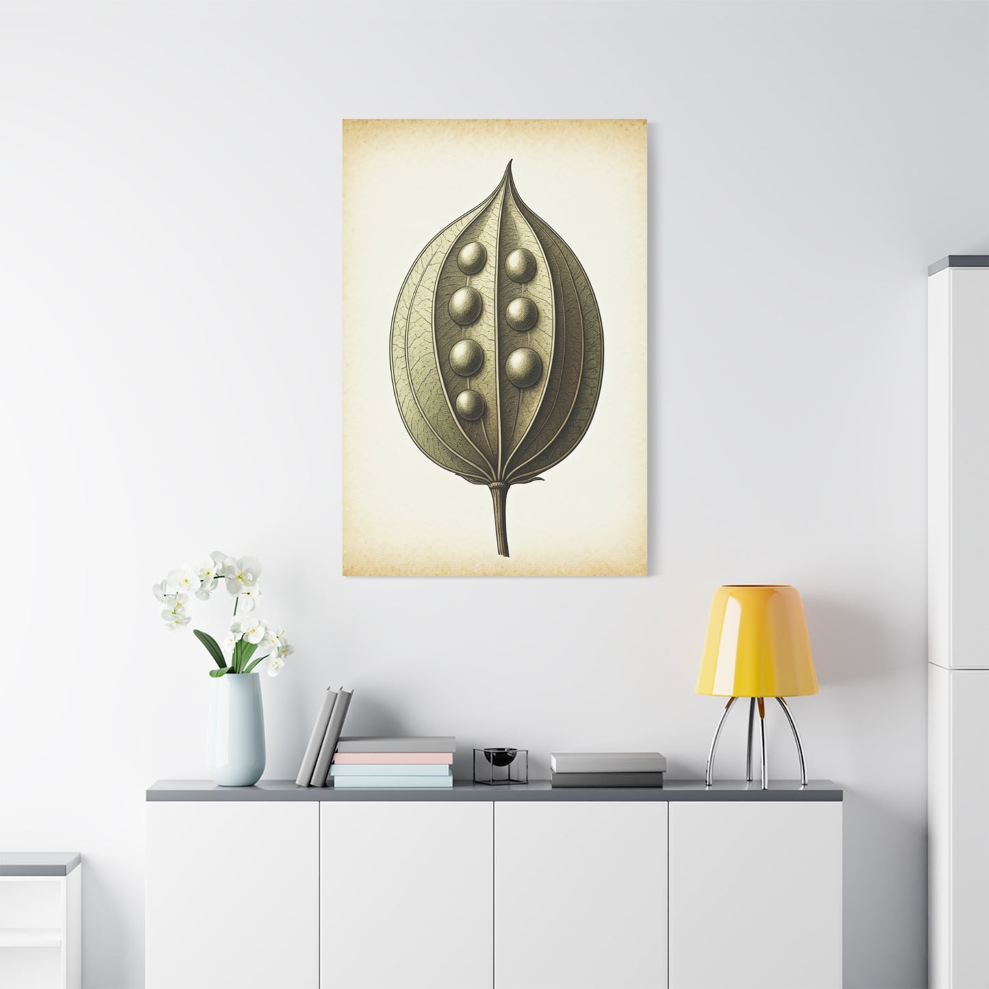 Seed Pod Study Wall Art & Canvas Prints