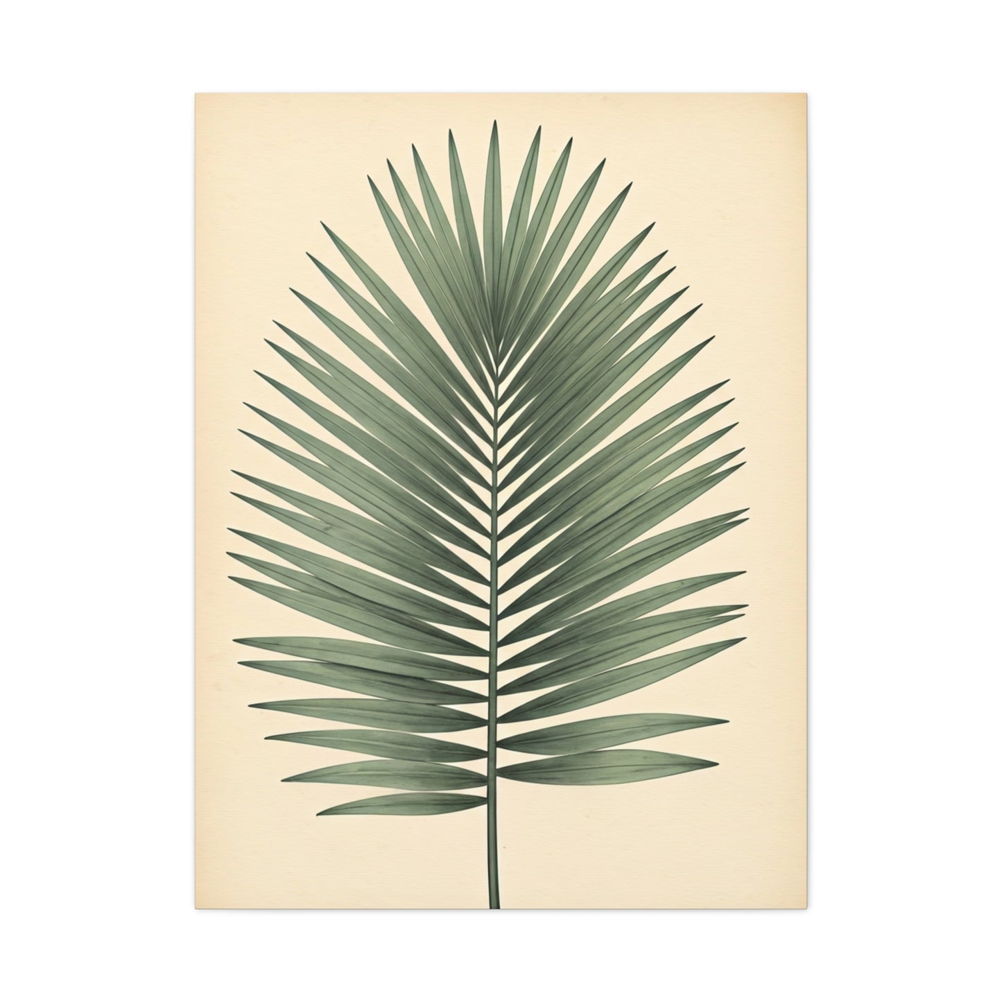 Palm Leaf Minimalist Illustration Wall Art & Canvas Prints