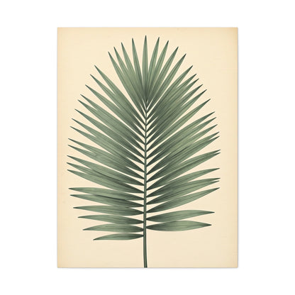 Palm Leaf Minimalist Illustration Wall Art & Canvas Prints