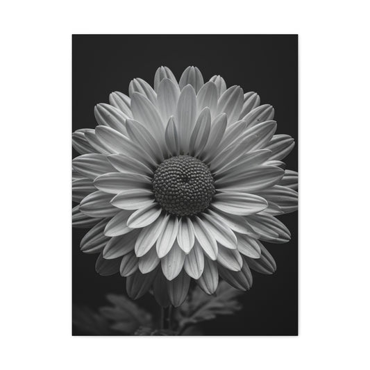 Monochrome Daisy Bloom Portrait Wall Art & Canvas Prints