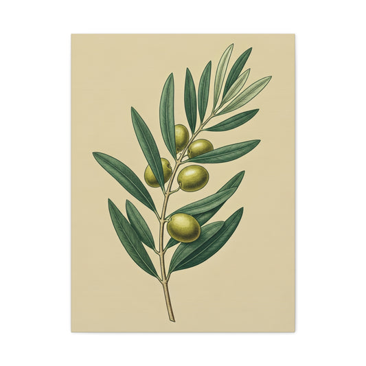 Olive Branch Study Wall Art & Canvas Prints