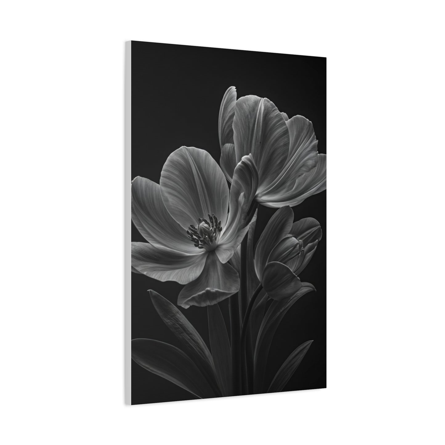 Dual Magnolia Elegance Wall Art & Canvas Prints