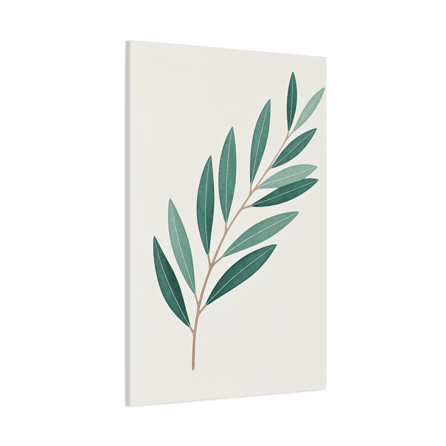 Elegant Olive Branch Illustration Wall Art & Canvas Prints
