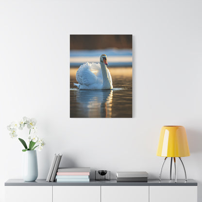 Swan on Still Water Wall Art & Canvas Prints