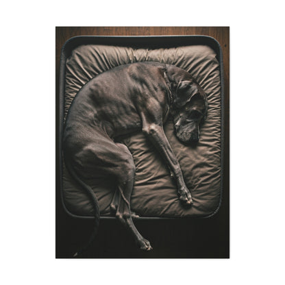Peaceful Slumber Canine Wall Art & Canvas Print