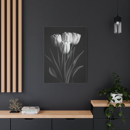 Graceful Tulip Trio Monochrome Wall Art & Canvas Prints