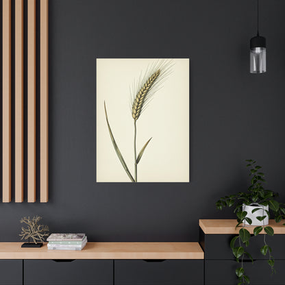 Golden Grain Stem Illustration Wall Art & Canvas Prints