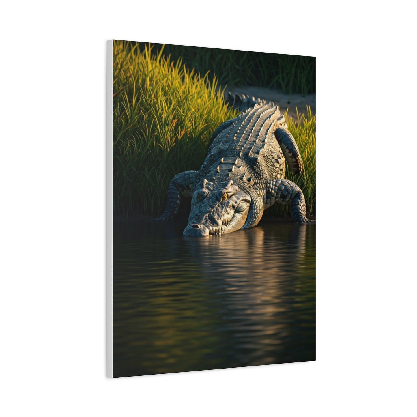 Crocodile Waterside Stillness Wall Art & Canvas Prints