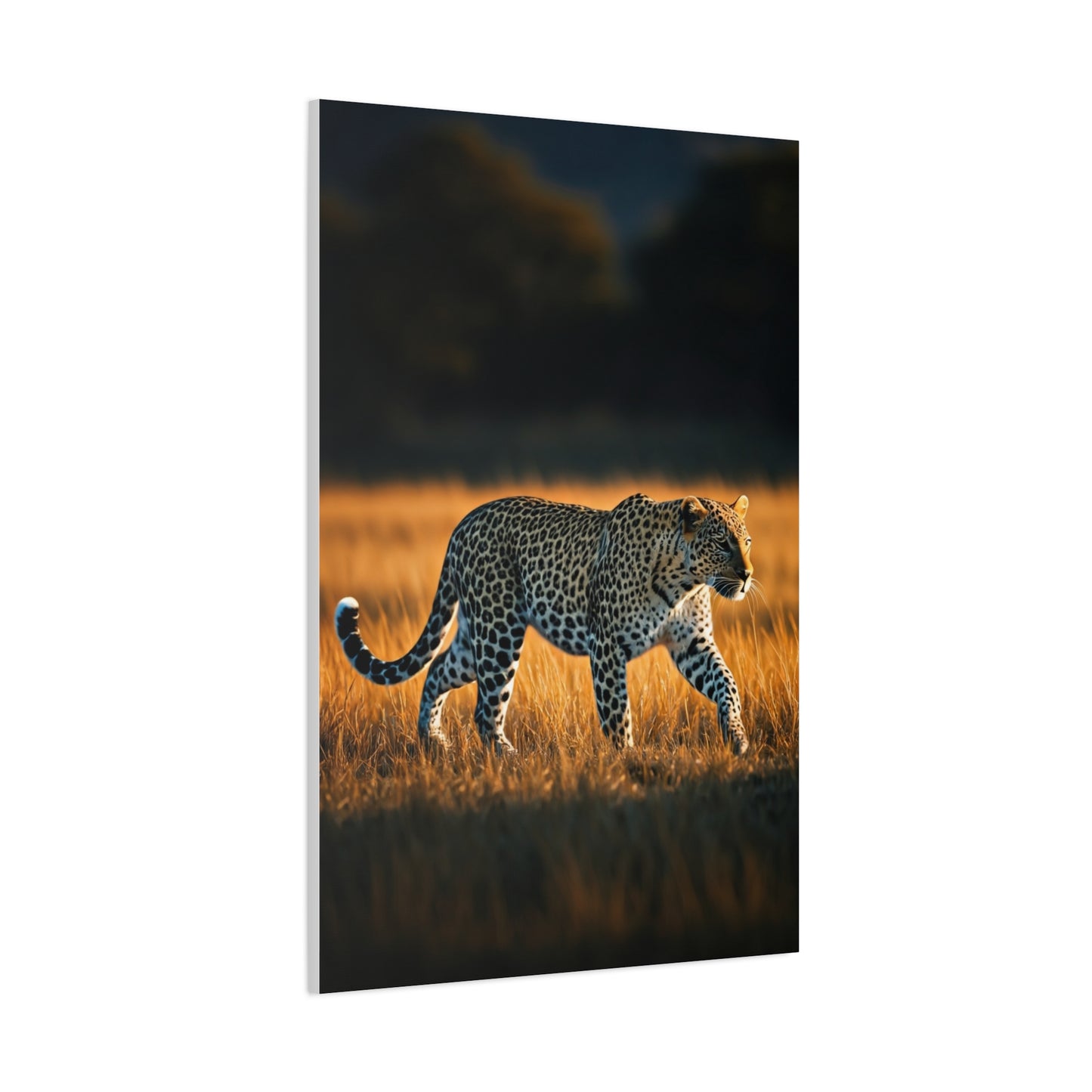 Lone Cheetah in Tall Grass Wilderness Wall Art & Canvas Prints
