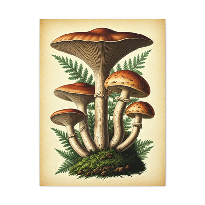 Mushroom Illustration Collection Wall Art & Canvas Prints