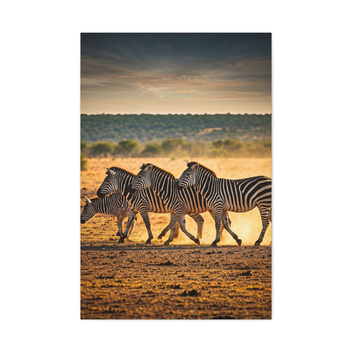 Zebra Duo Walking Across the Savannah Wall Art & Canvas Prints