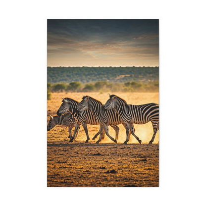 Zebra Duo Walking Across the Savannah Wall Art & Canvas Prints