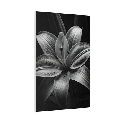 Monochrome Lily Bloom Wall Art & Canvas Prints
