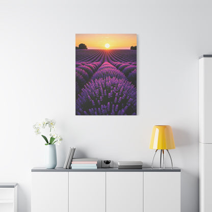Lavender Fields at Sunset Wall Art & Canvas Prints