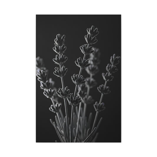 Lavender Silhouette Study Wall Art & Canvas Prints