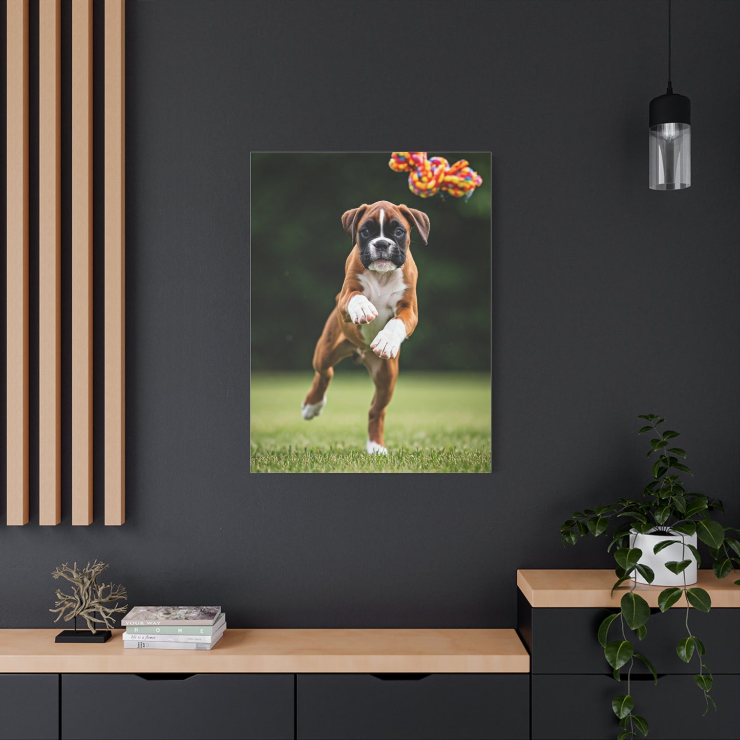Playful Leap Boxer Wall Art & Canvas Print