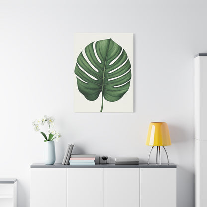 Monstera Leaf Illustration Wall Art & Canvas Prints