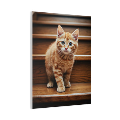 Curious Kitten on Wooden Steps Wall Art & Canvas Prints