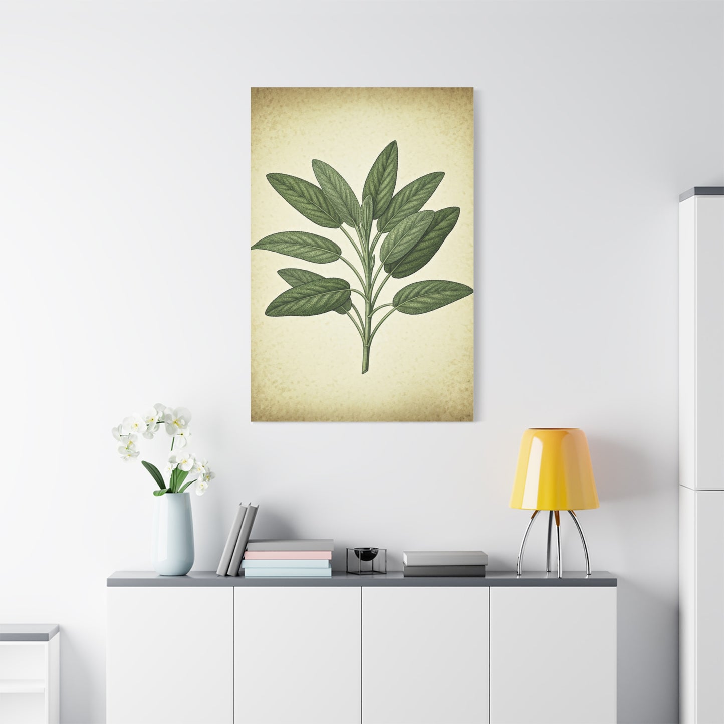 Sage Leaf Medicinal Illustration Wall Art & Canvas Prints