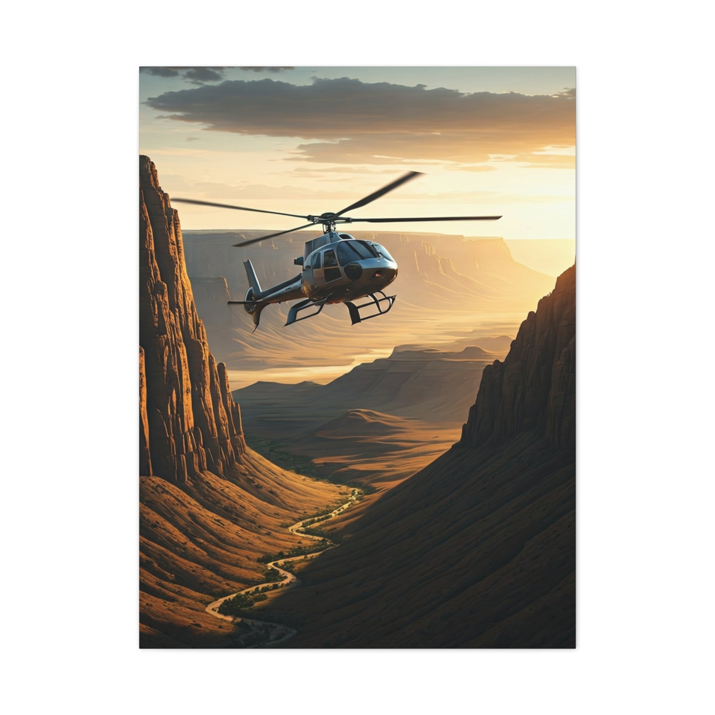 Helicopter Canyon Expedition Wall Art & Canvas Prints