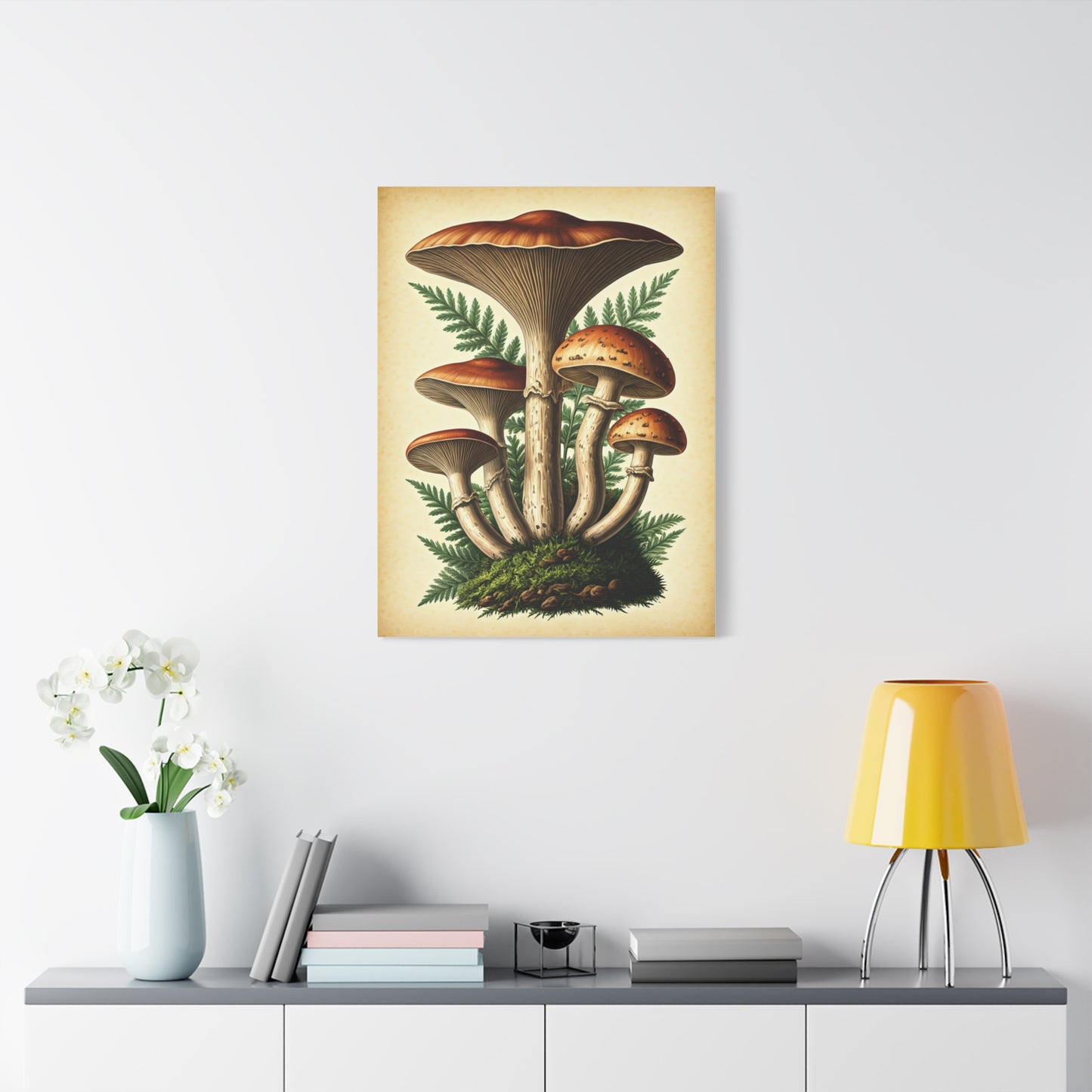Mushroom Illustration Collection Wall Art & Canvas Prints