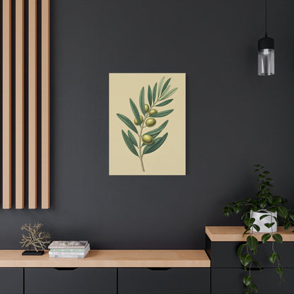 Olive Branch Study Wall Art & Canvas Prints