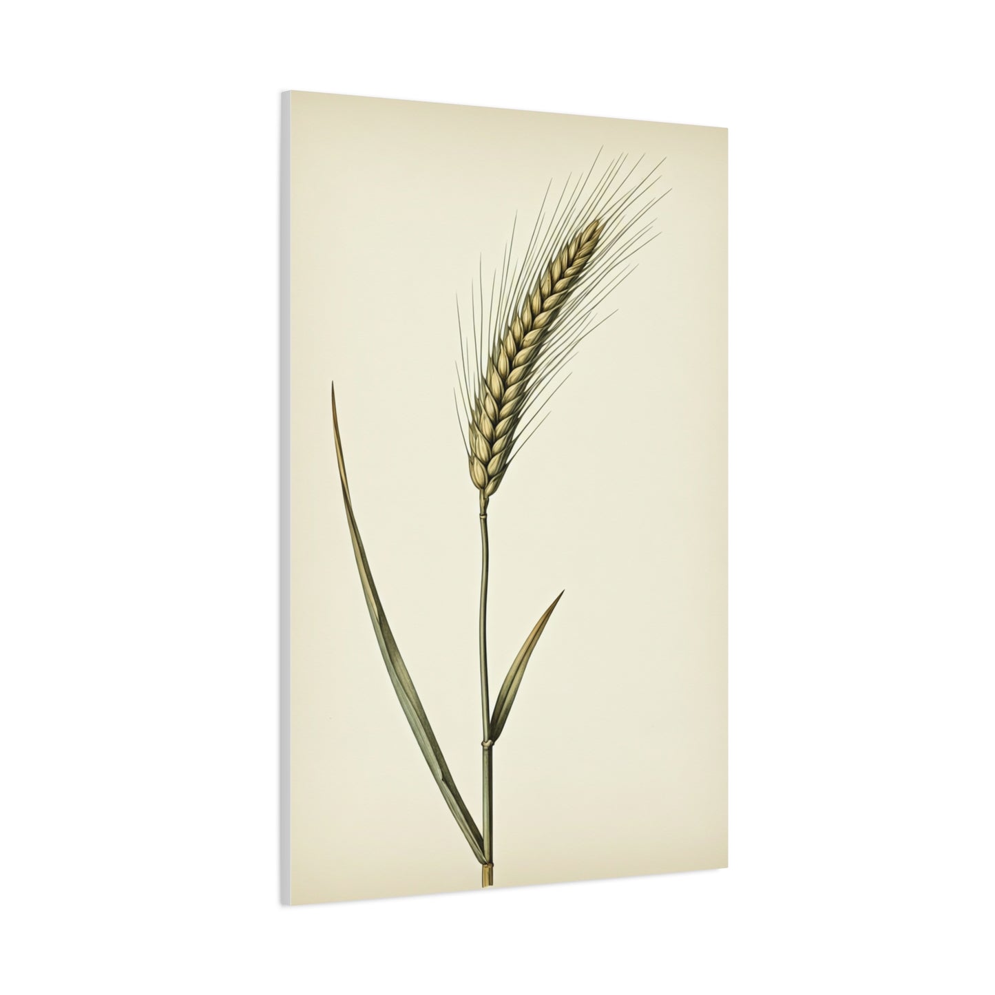 Golden Grain Stem Illustration Wall Art & Canvas Prints