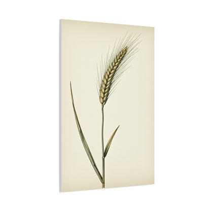 Golden Grain Stem Illustration Wall Art & Canvas Prints