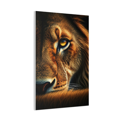 Lion’s Intensity Wall Art & Canvas Prints