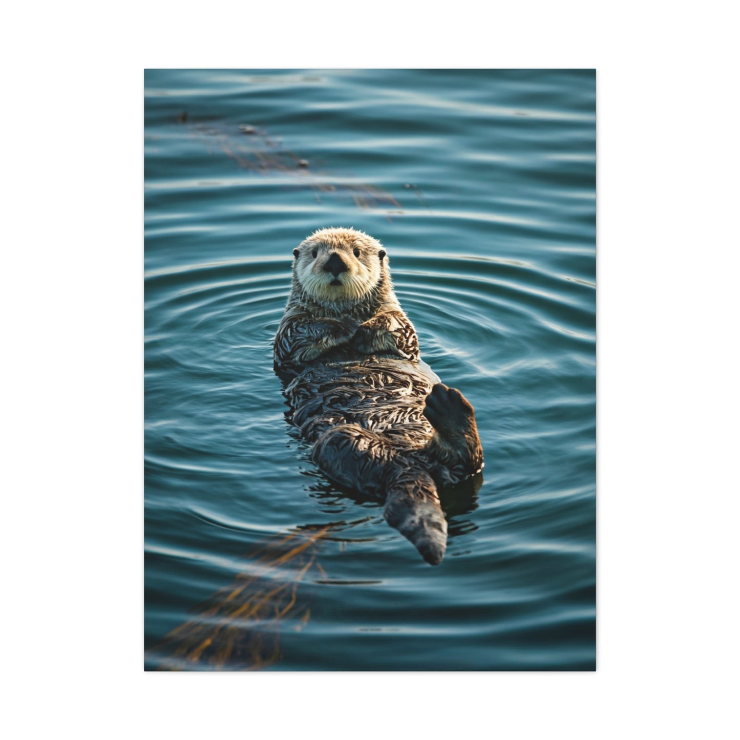 Otter Floating on Water Wall Art & Canvas Prints