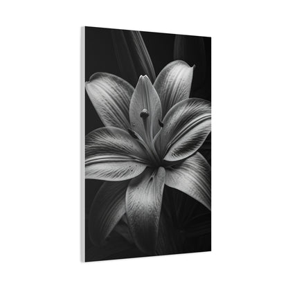Monochrome Lily Bloom Wall Art & Canvas Prints