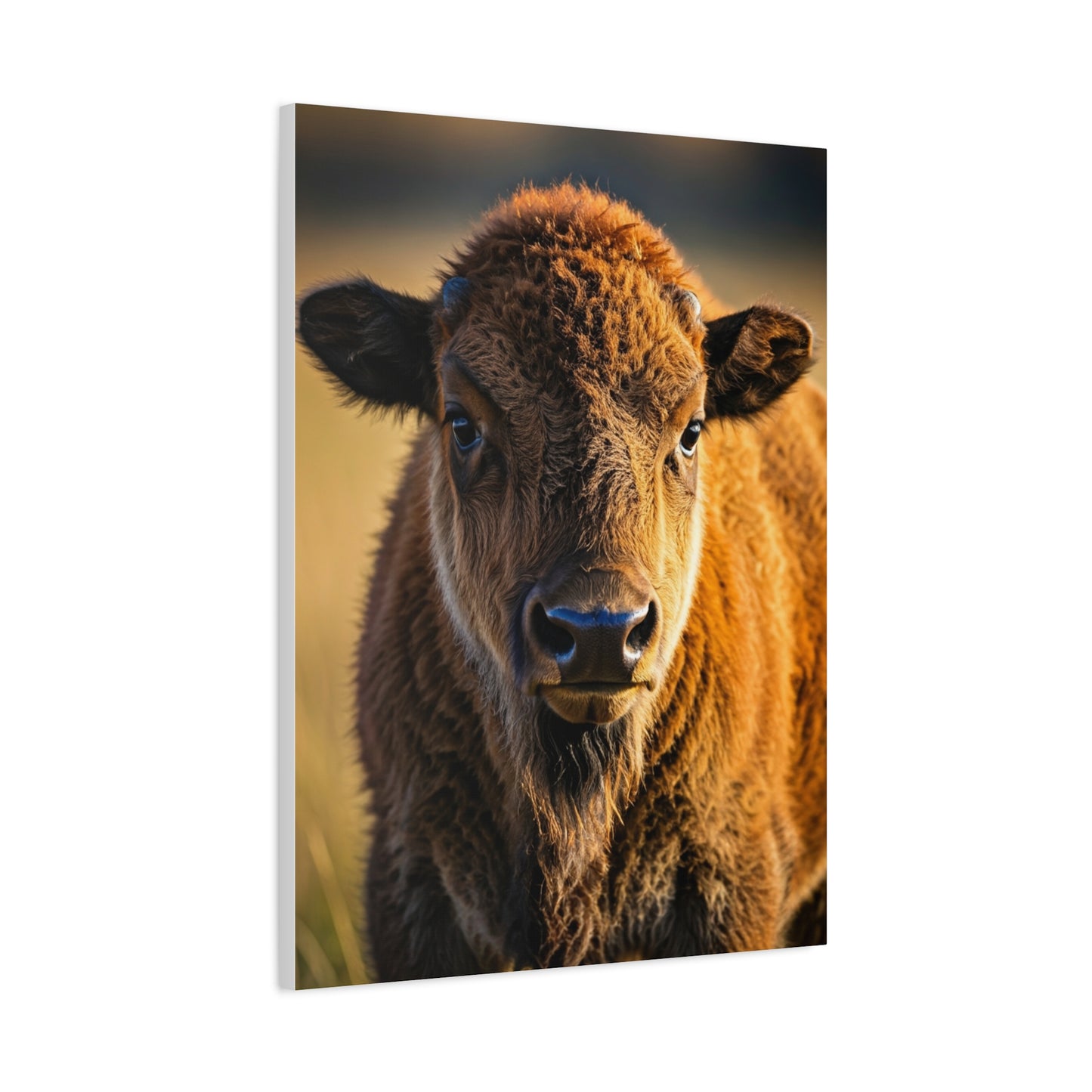 Young Plains Bison Calf Portrait Wall Art & Canvas Print
