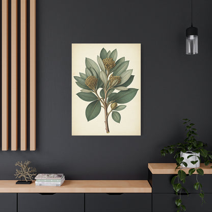Floral Branch Illustration Wall Art & Canvas Prints