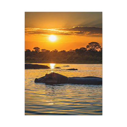 Hippo Resting at Sunset Waters Wall Art & Canvas Prints